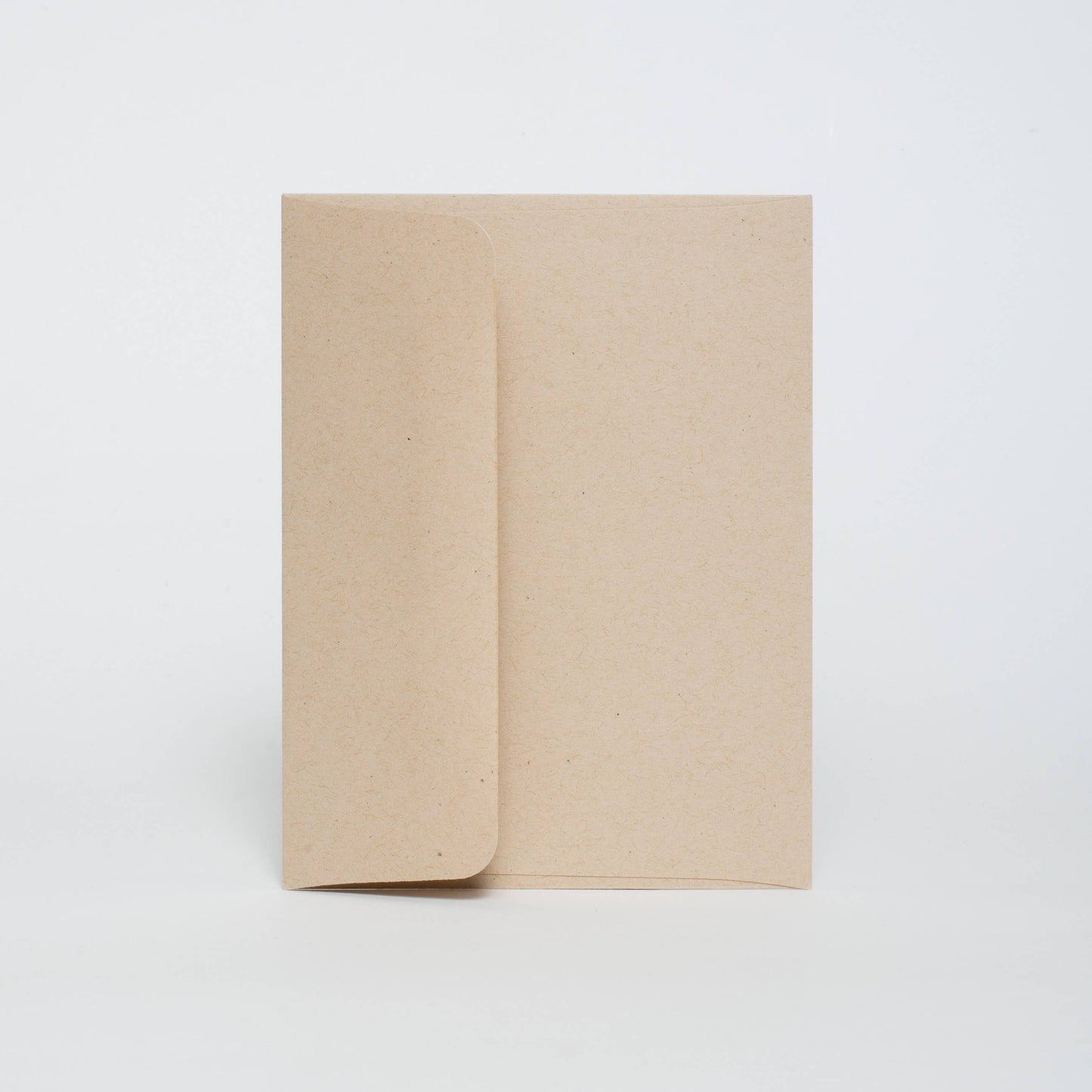 HELLO! LUCKY -- T-Rex Birthday: Plastic sleeve