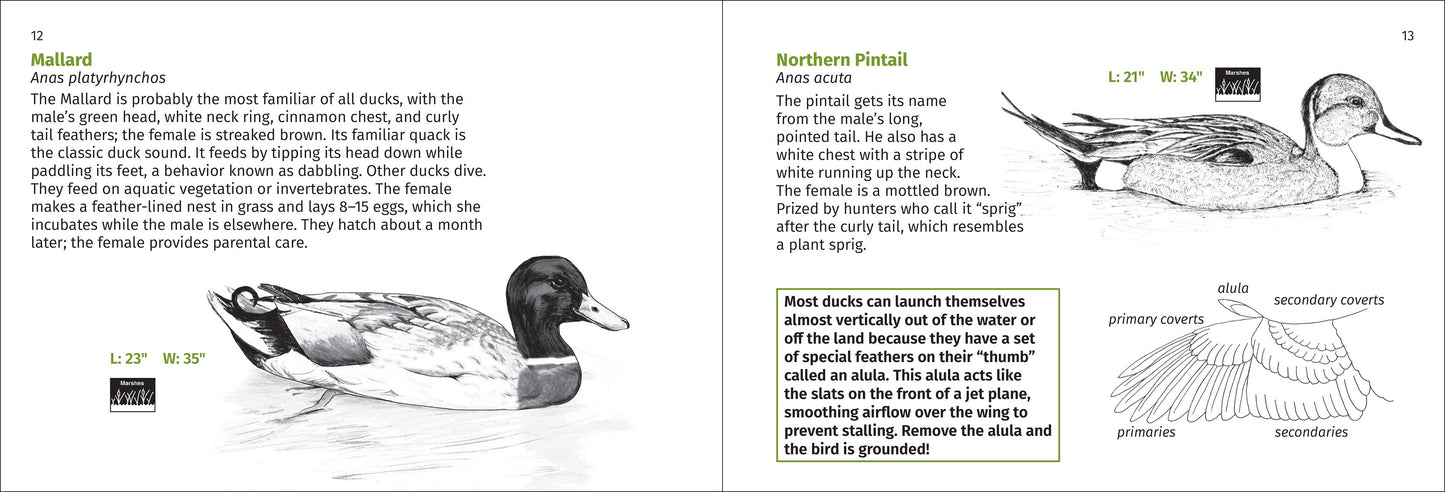 Pacific Coast Bird Finder 2e