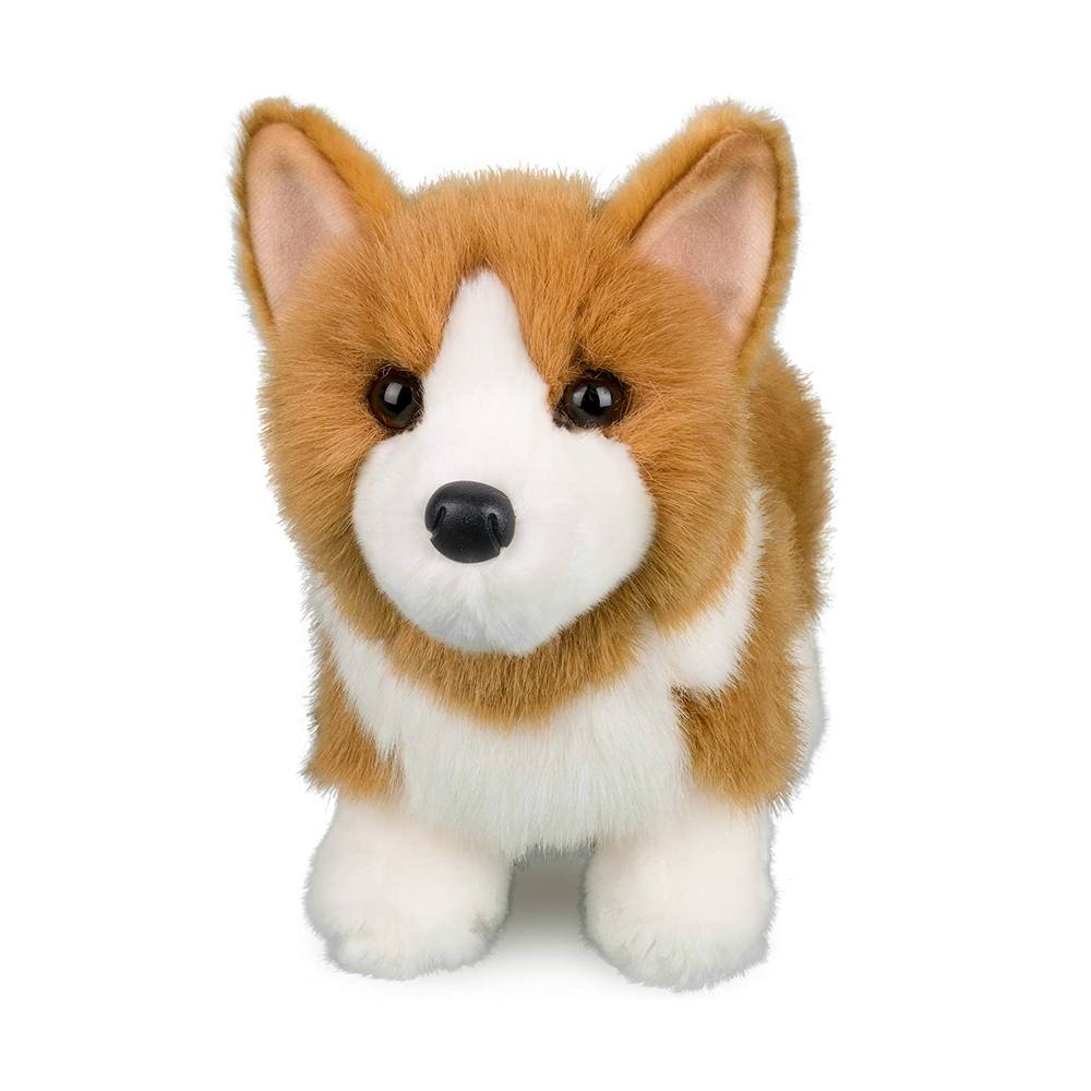 Louie the Corgi