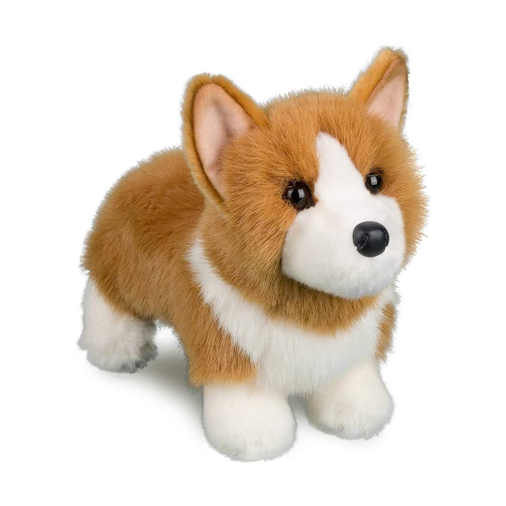 Louie the Corgi