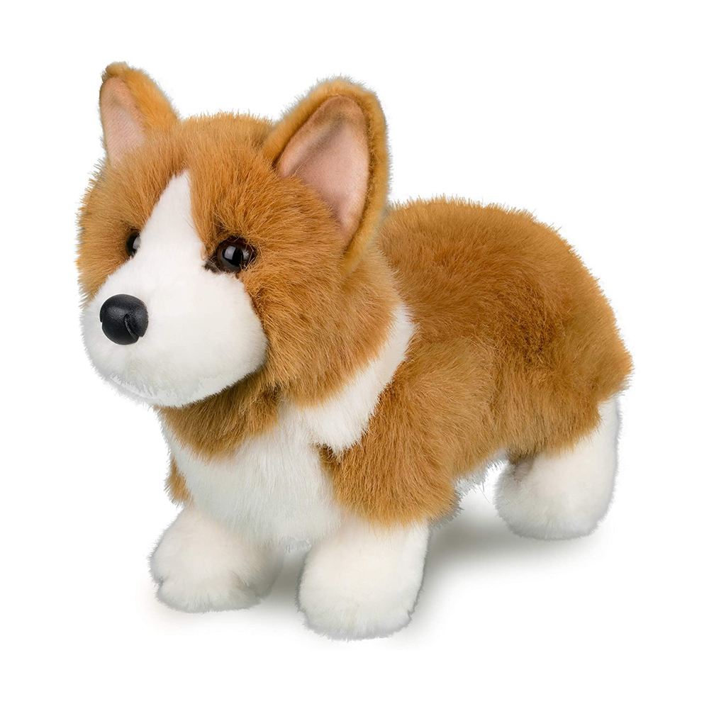 Louie the Corgi