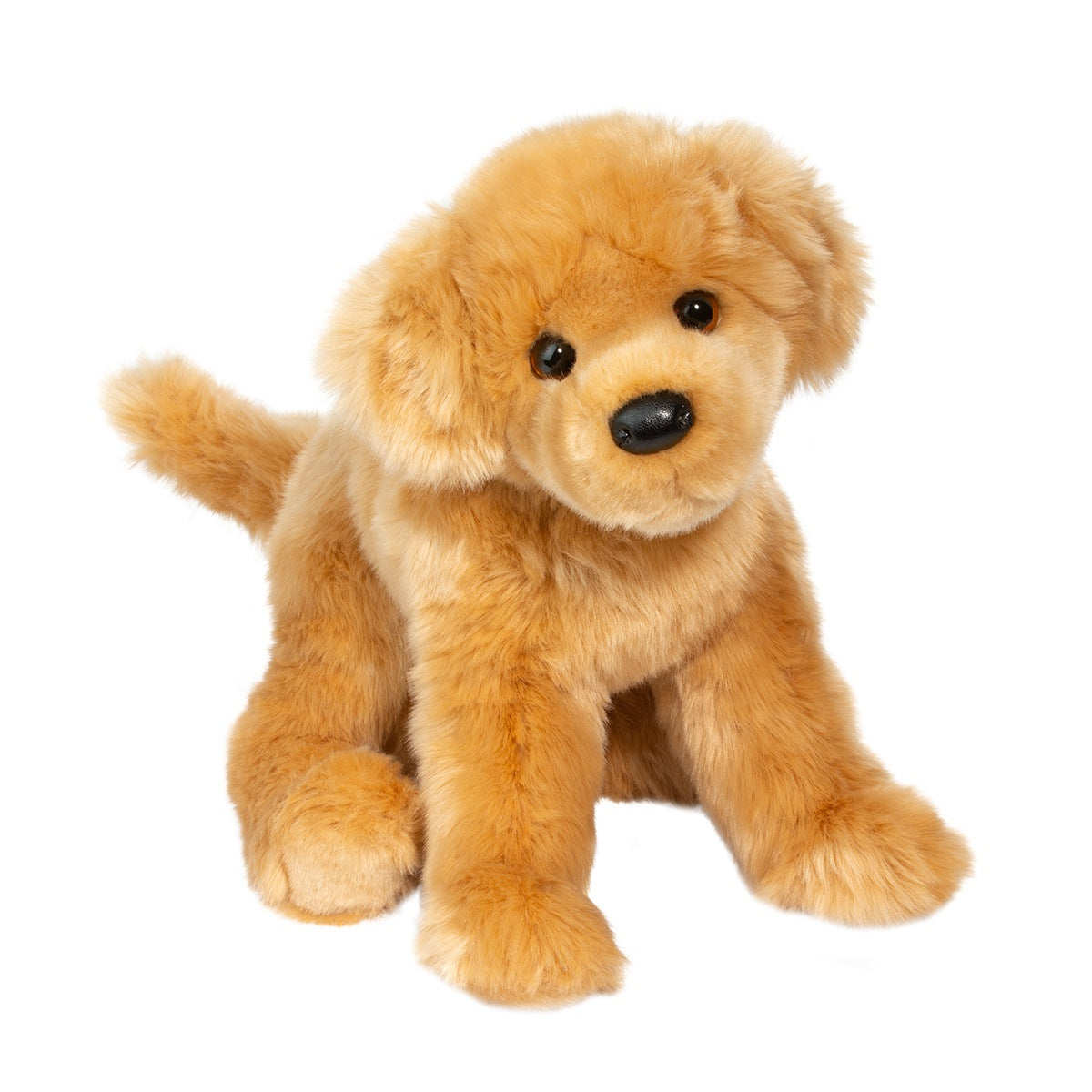 Bella the Golden Retriever