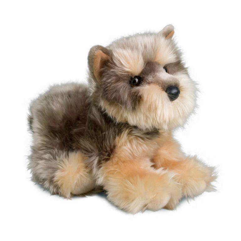 Yettie the Yorkie