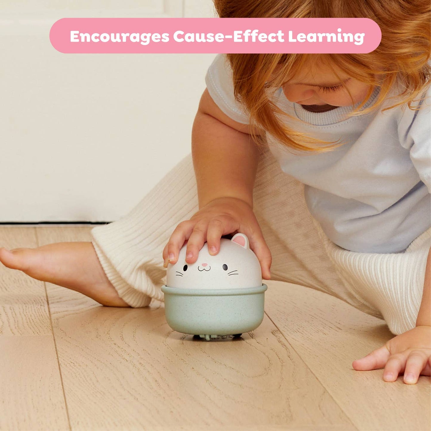 Rocking Rollers - Cat