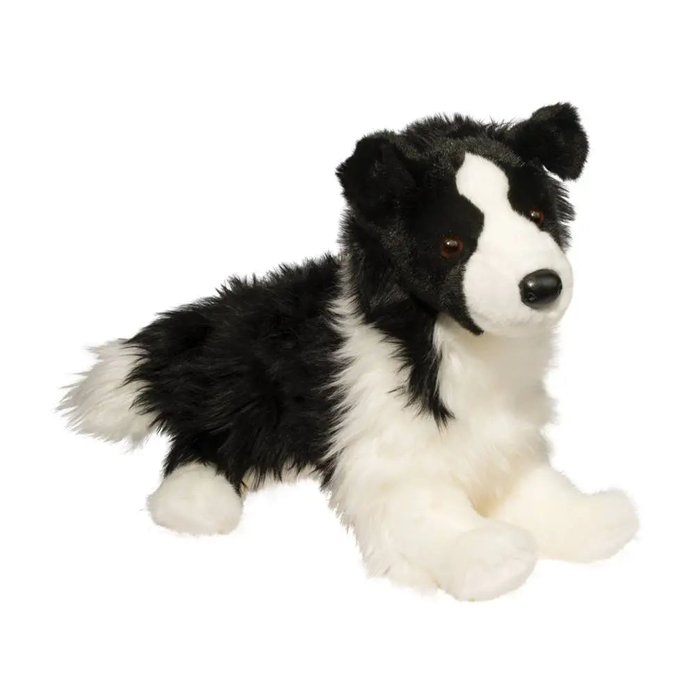 Chase the Border Collie