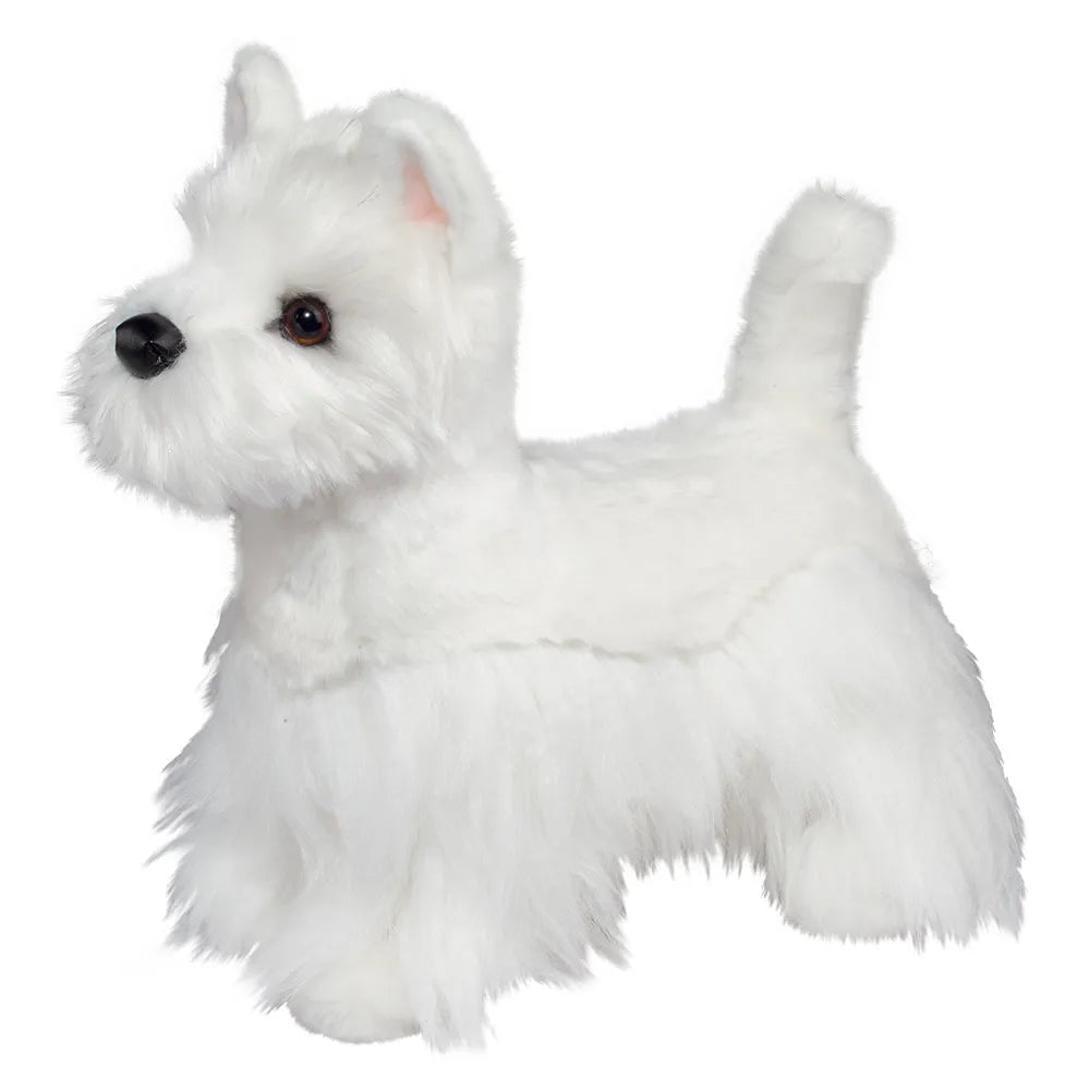 Romeo the Westie