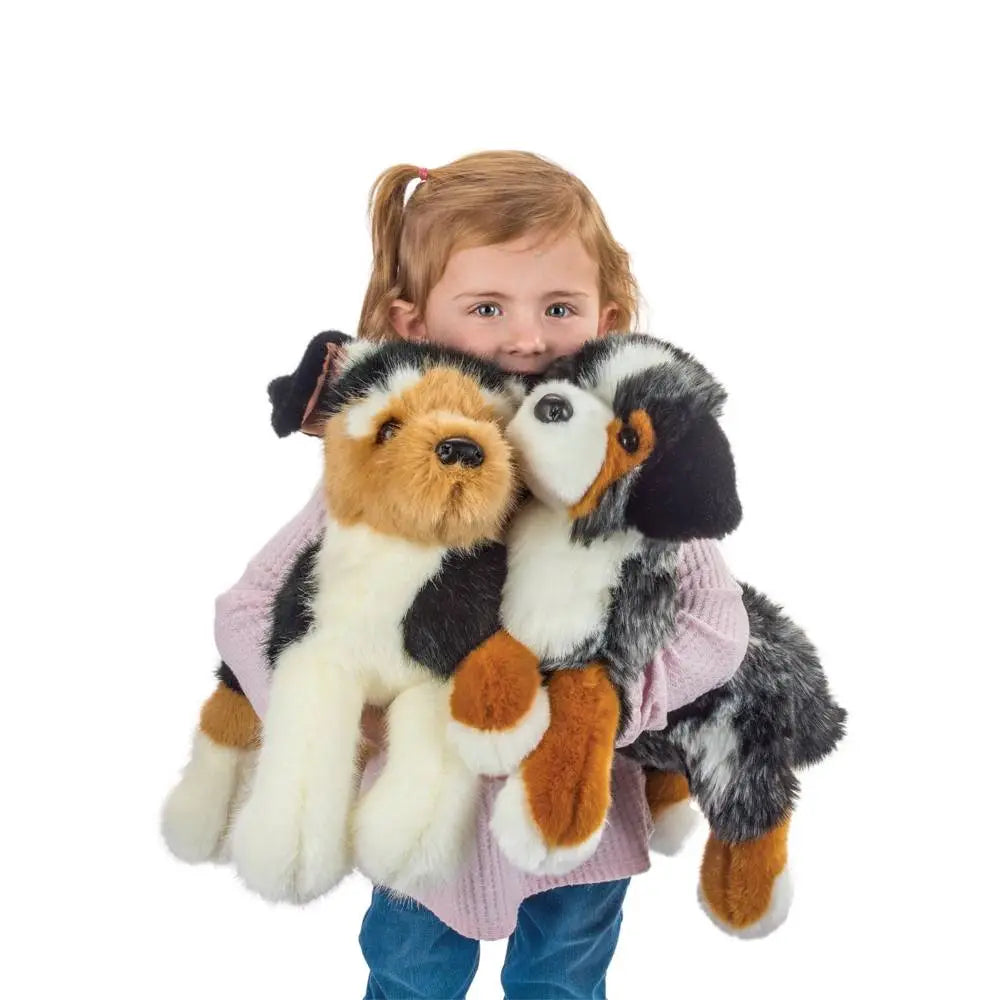 Maizie the Australian Shepherd