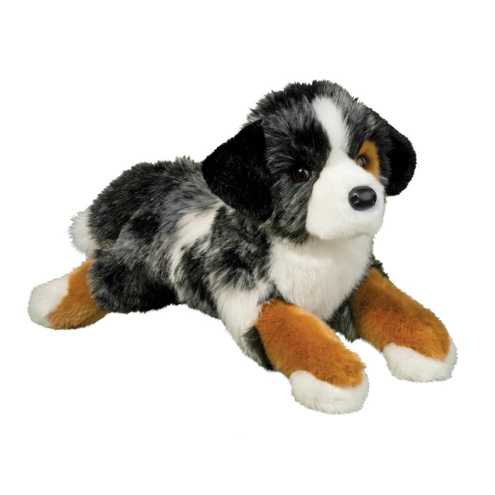 Maizie the Australian Shepherd