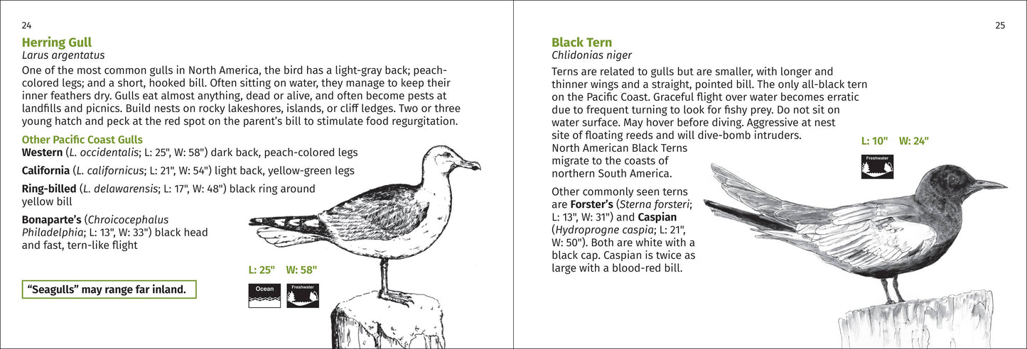 Pacific Coast Bird Finder 2e