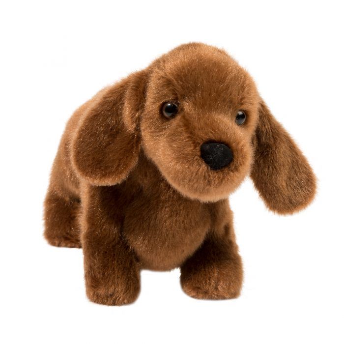 Lucia the Dachshund