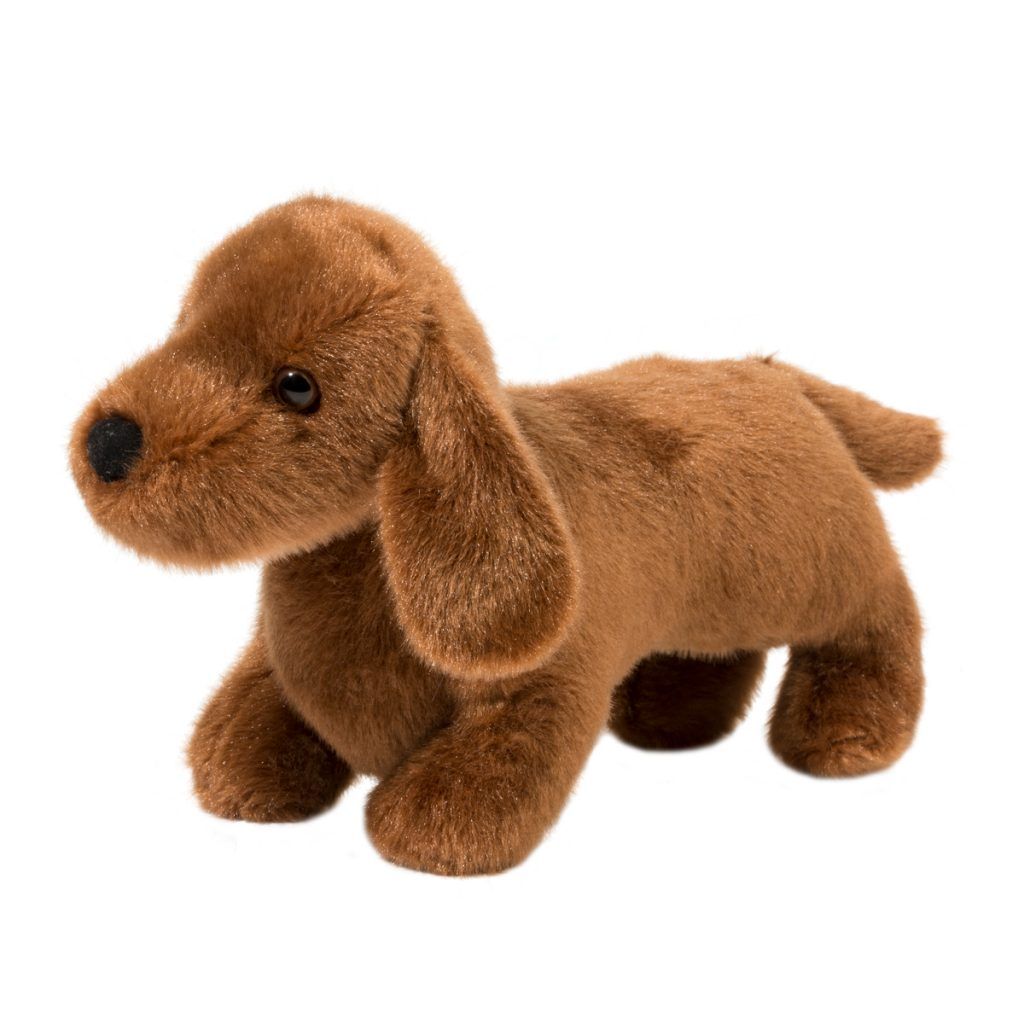 Lucia the Dachshund