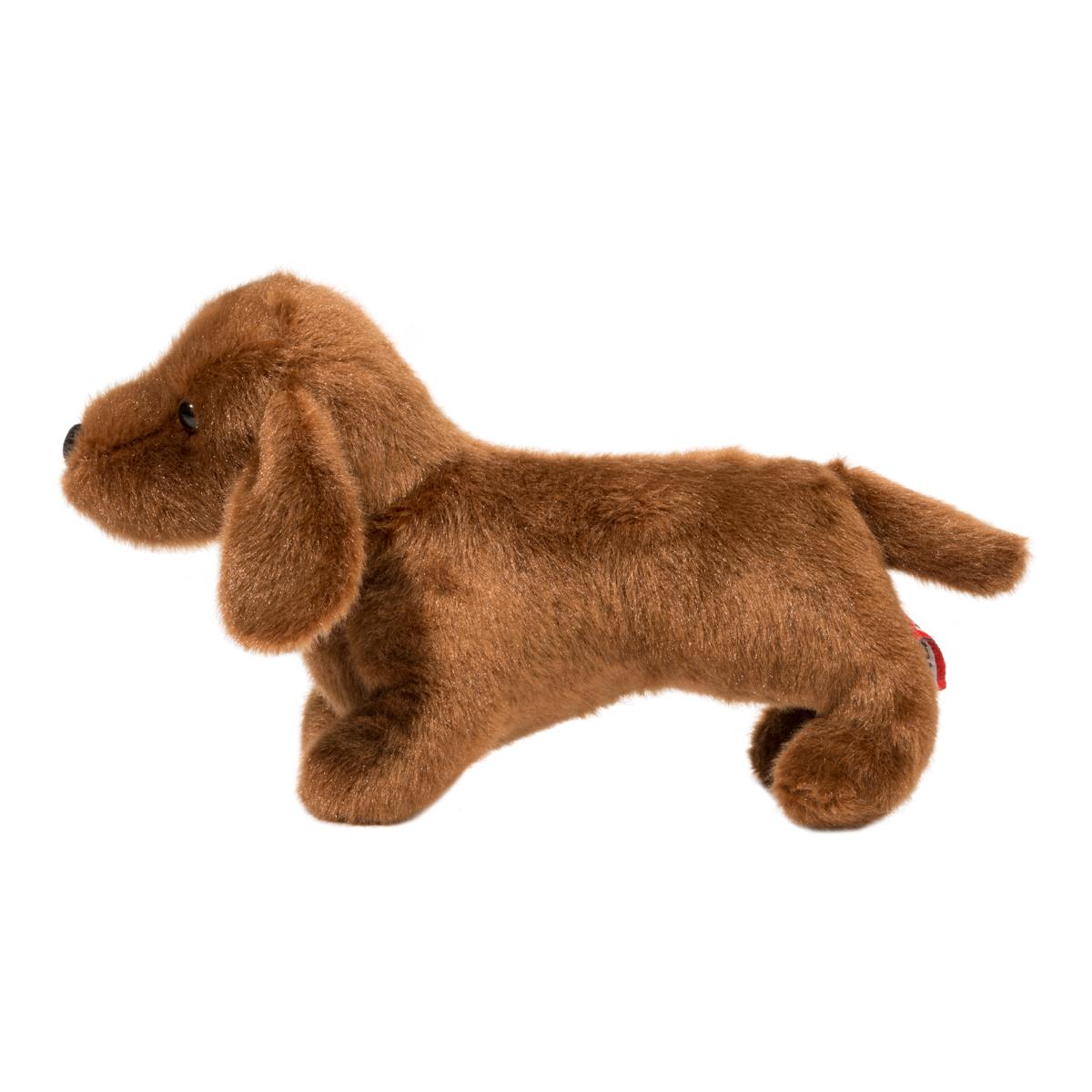 Lucia the Dachshund