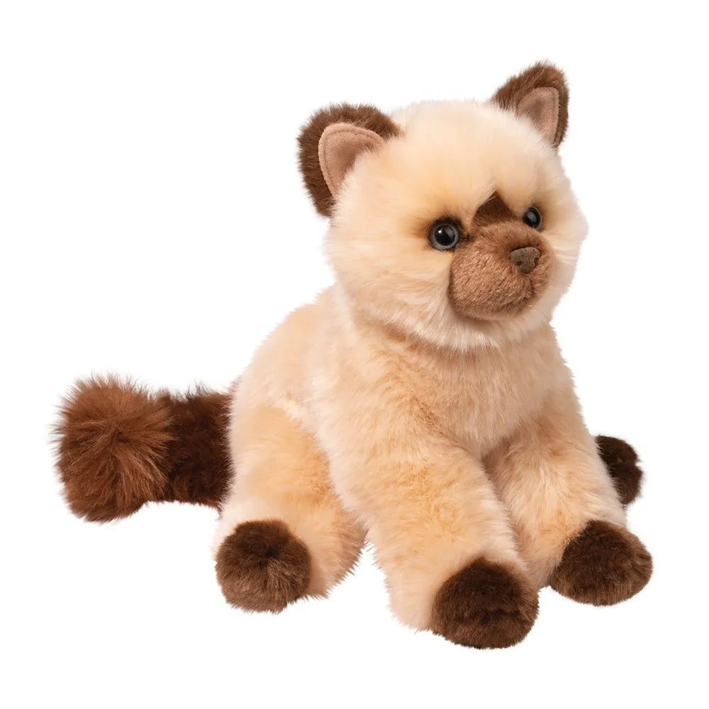 Mitzy the Himalayan Cat