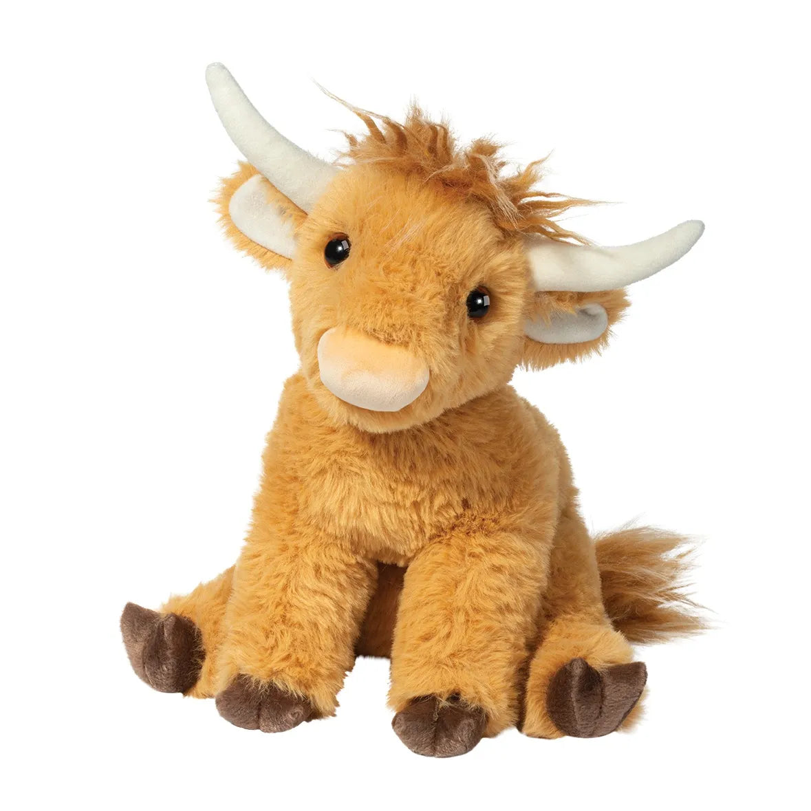 Scottie the Highland Cow