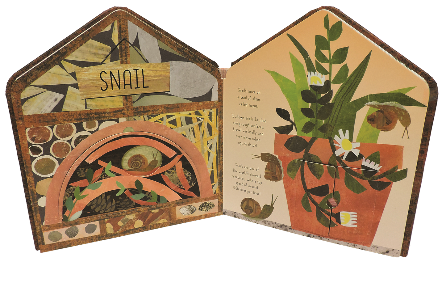 Bug Hotel