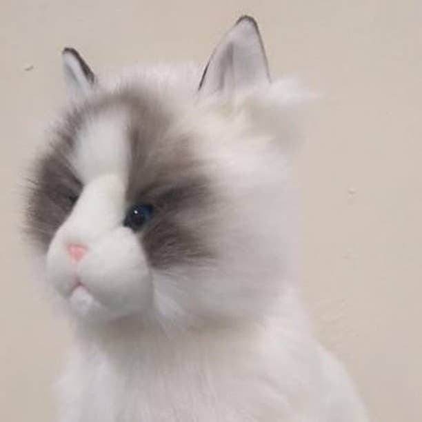 Plush Cat- Ragdoll Kitten Plush Animal