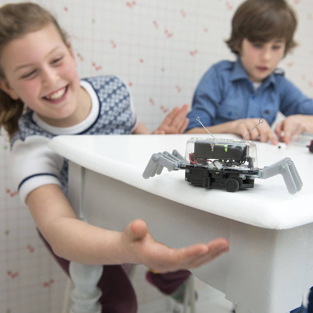 KidzRobotix /Table Top Robot