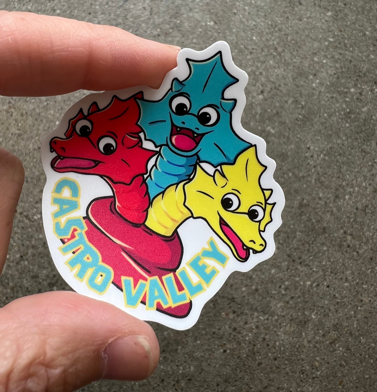 Beloved 3 headed Castro Valley Dragons