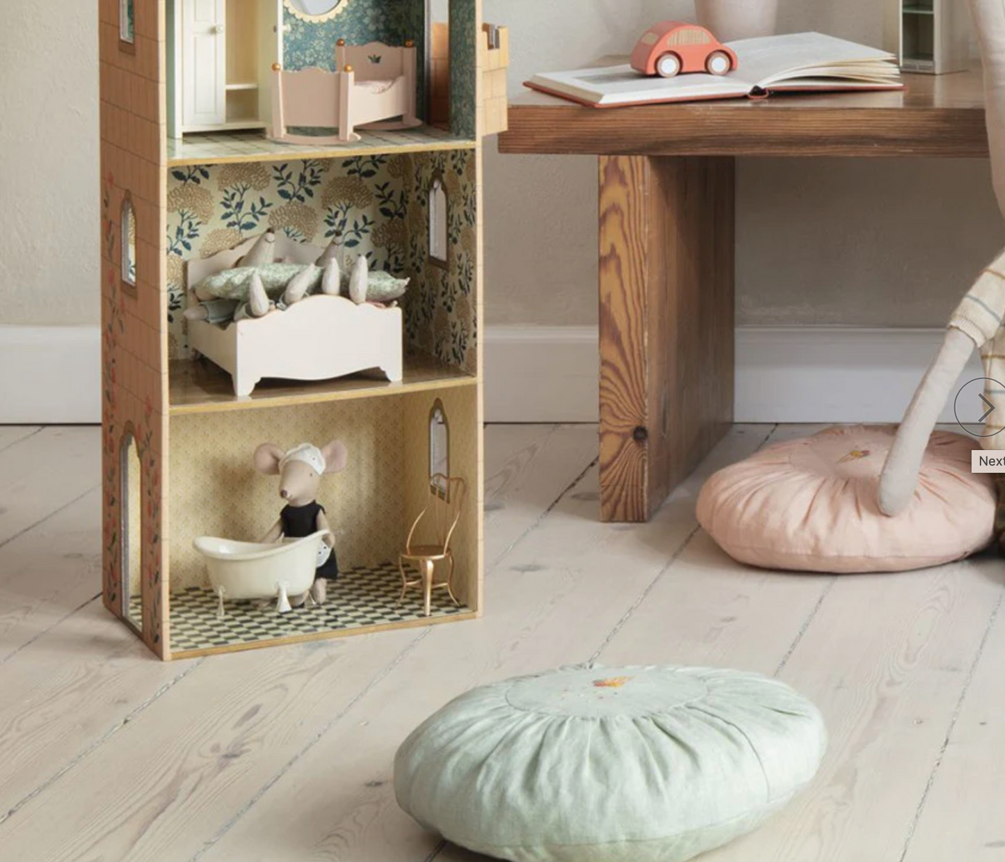 Bathtub for Mouse