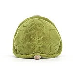 Timmy Turtle