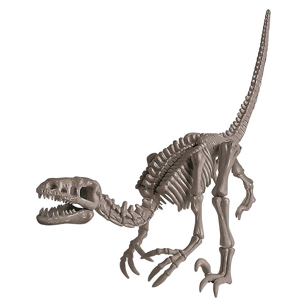 KidzLabs /Dig A Dinosaur Skeleton/Velociraptor