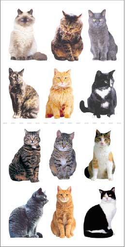 Mini Mixed Cats Sticker - ROLL OF 50 MODULES