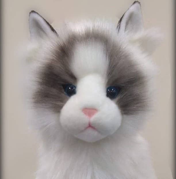 Plush Cat- Ragdoll Kitten Plush Animal