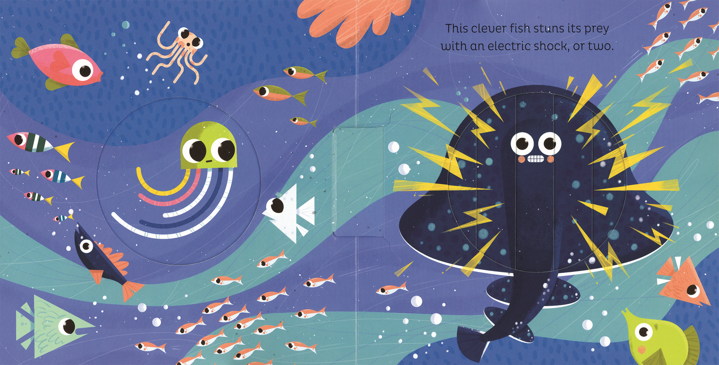 In the Ocean