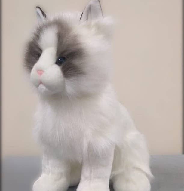 Plush Cat- Ragdoll Kitten Plush Animal