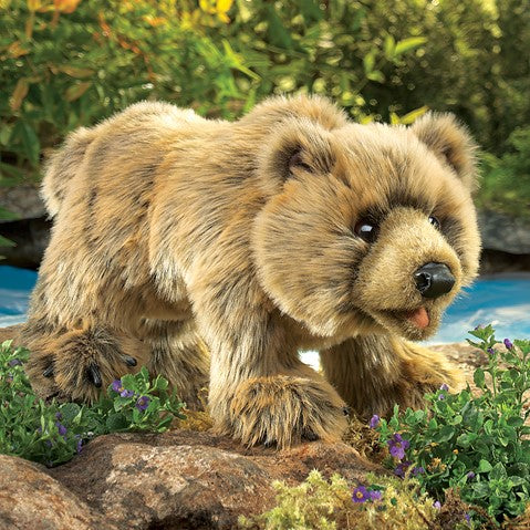 Grizzly Bear
