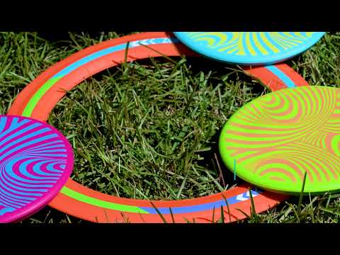 Backnine Nomadic Disc Golf Game