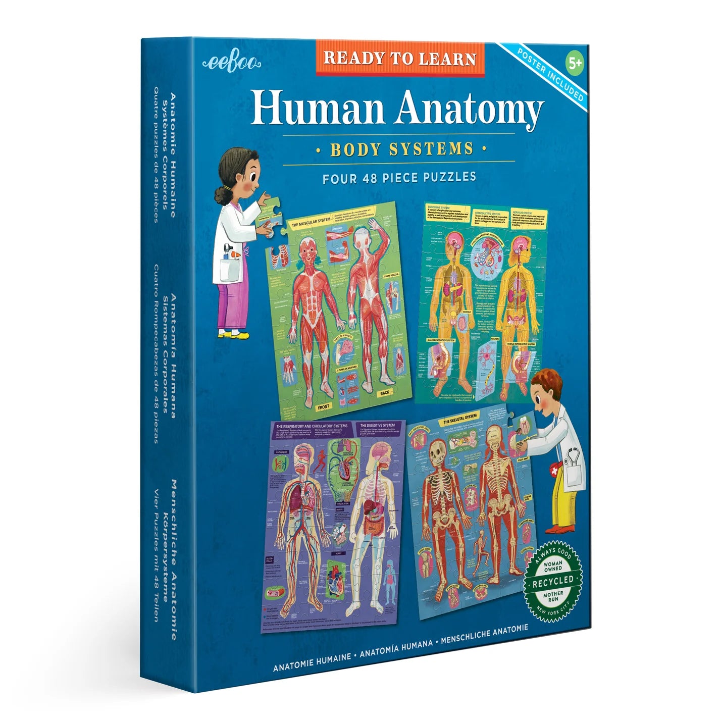 Human Anatomy