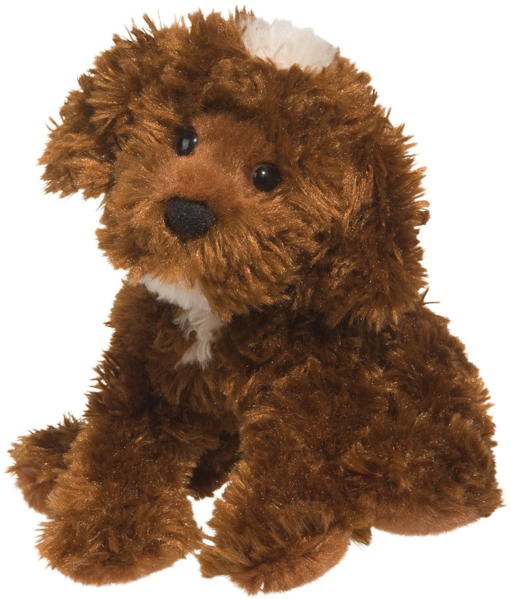 Bosco Chocolate Labradoodle