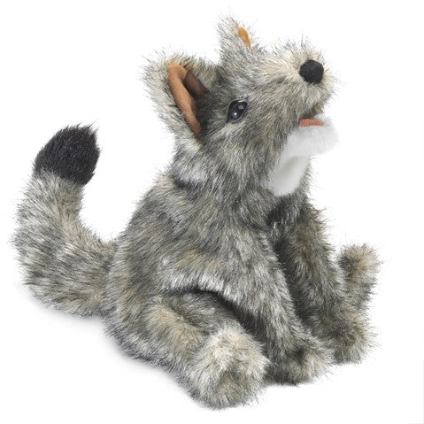 Small Coyote