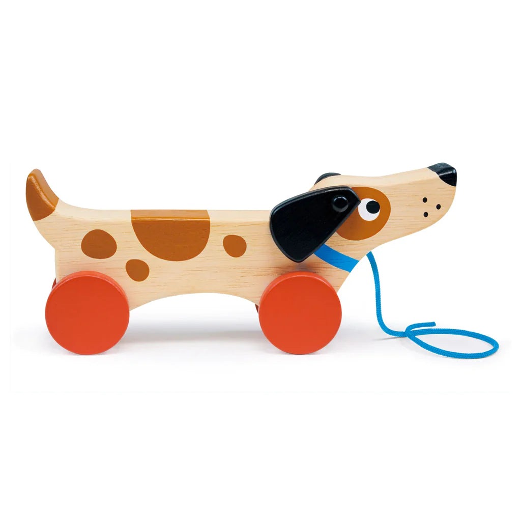 Puppy on Wheels