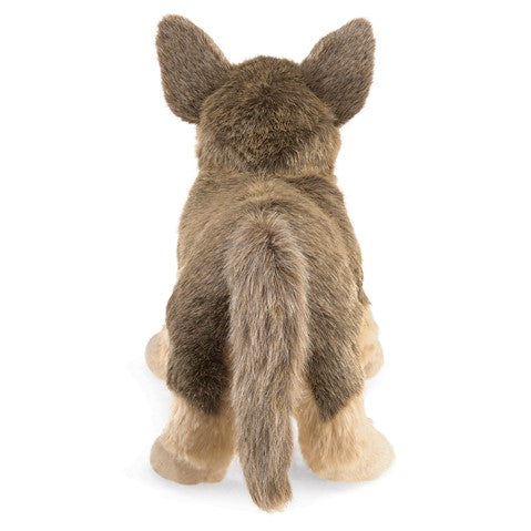 German Shepherd Puppy