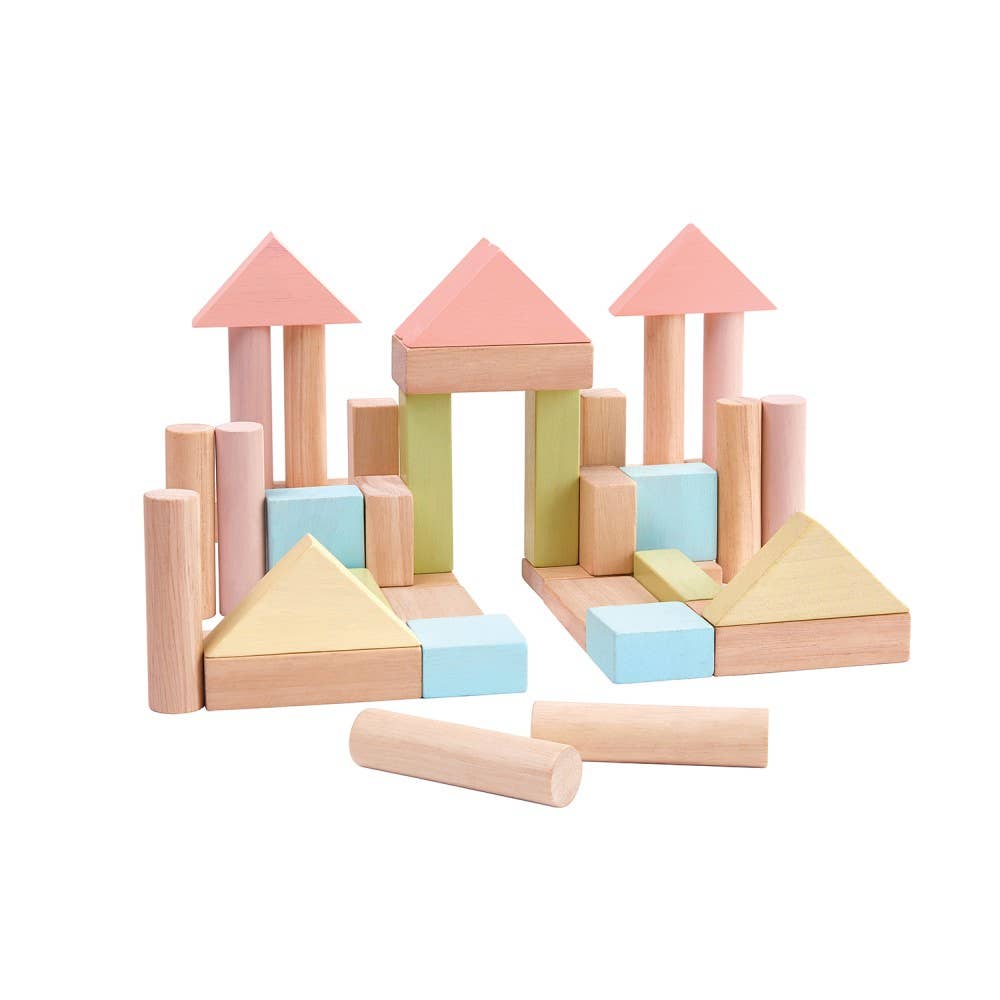 40 Unit Blocks- Pastel Series
