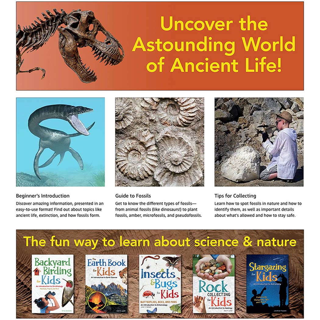 Fossils for Kids