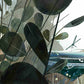 Stuck! The Story of La Brea Tar Pits