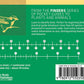 Pacific Coast Bird Finder 2e