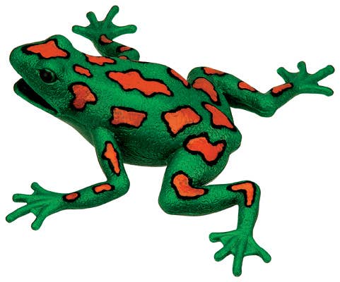 Frog Squishimals Squishy Toys