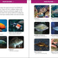 Seashells and Beachcombing for Kids