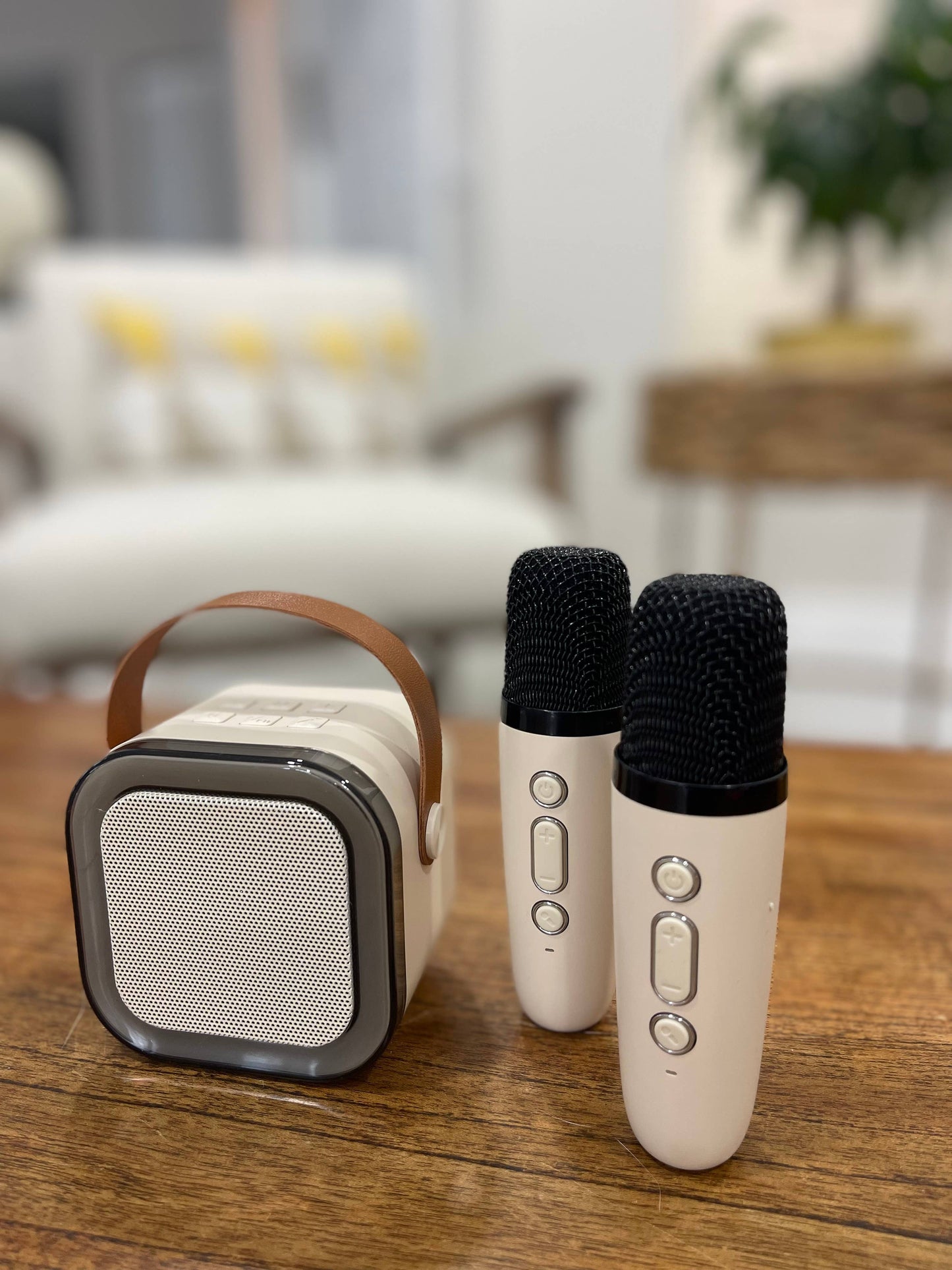 Karaoke Set- LED - BG