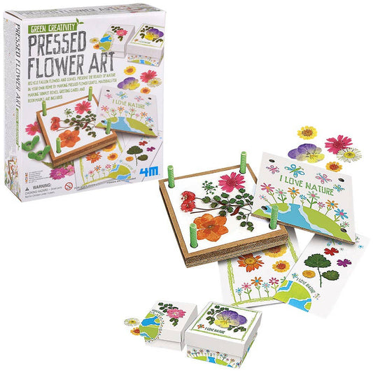 Green Creativity/Pressed Flower Art