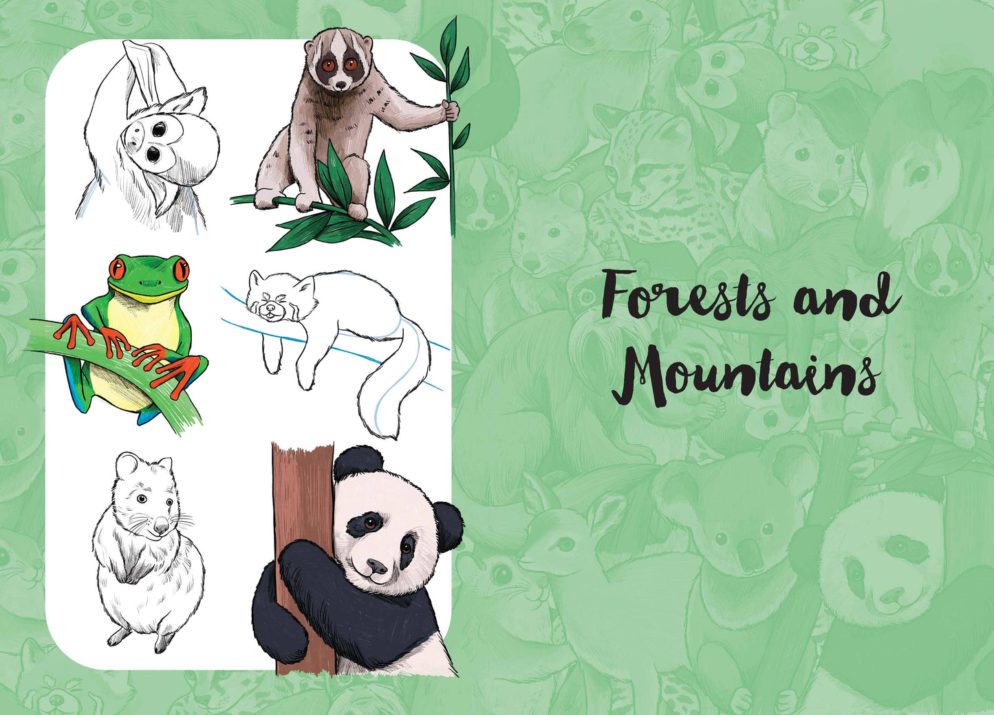 10 Step Drawing: Cute Animals