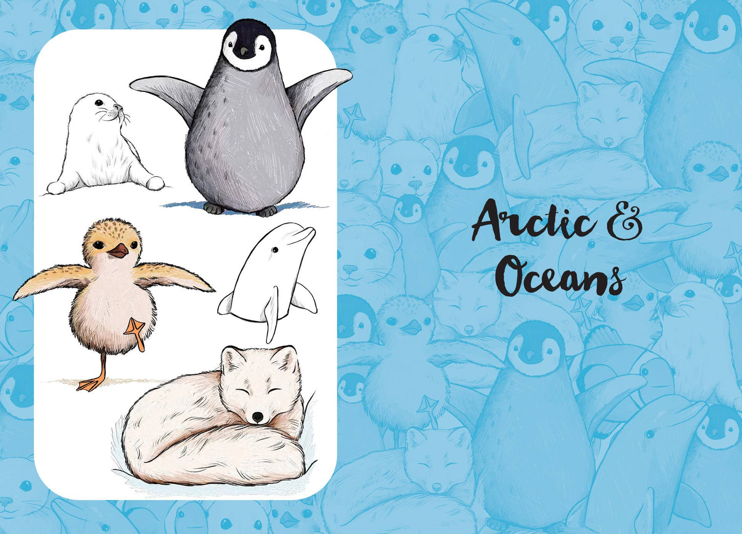 10 Step Drawing: Cute Animals