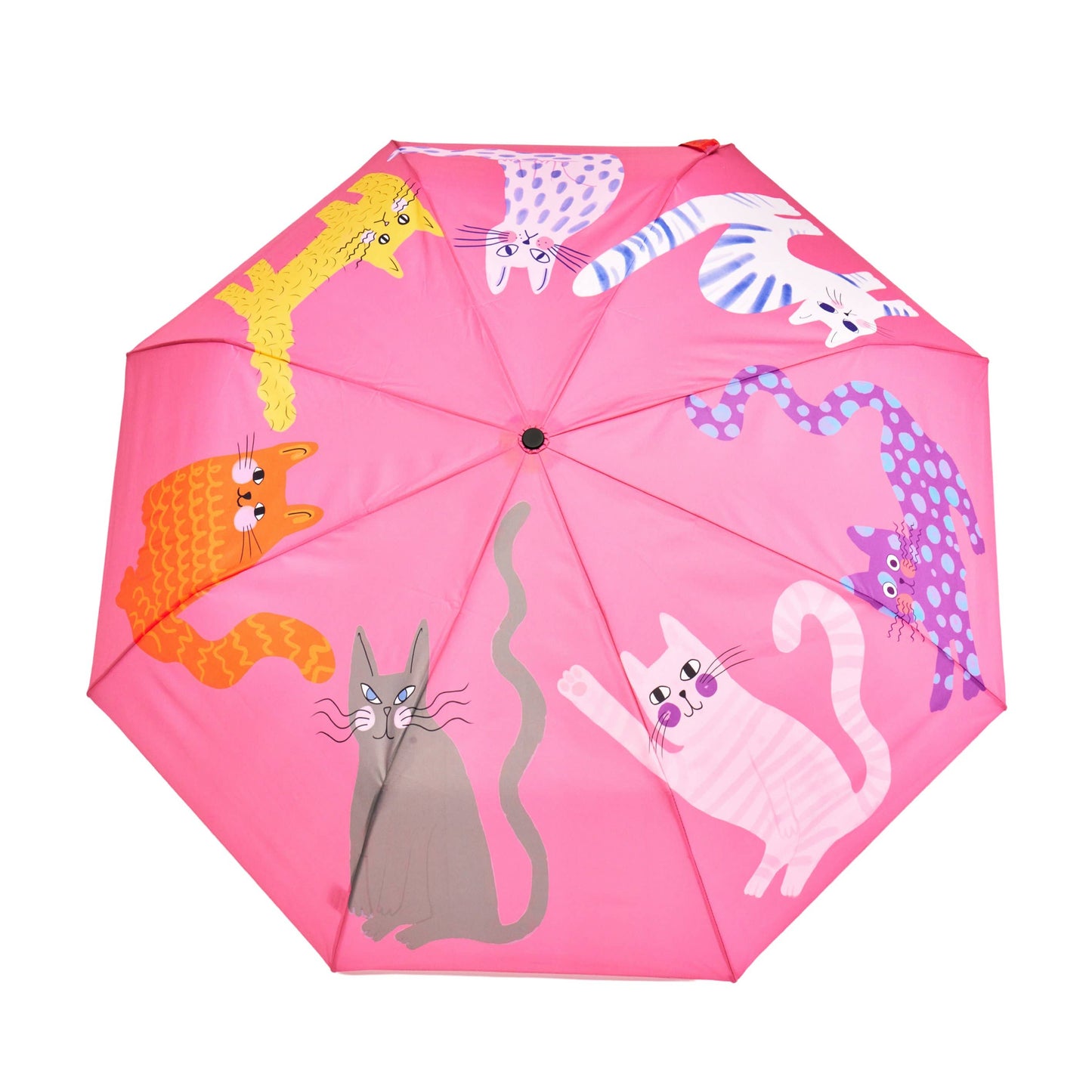 New! Multipack - Fuchsia/Lime/Ice Arty Cats Duck Umbrellas