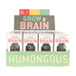 Grow a Brain | 
Anatomy Model Polymer Brain Science Kit