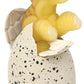 Ginormous Grow Dino Egg, Just Add Water