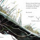 Stuck! The Story of La Brea Tar Pits